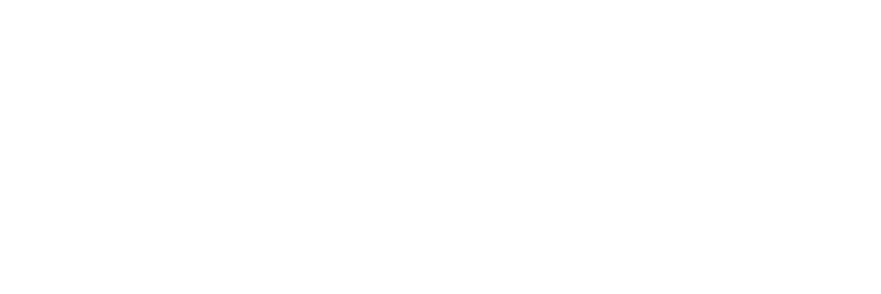 Foimax